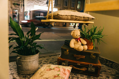 Close-up of potted plants on table