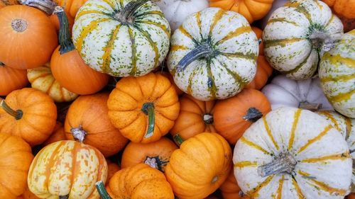 High angle view of pumpkins in market