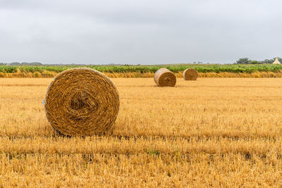 Hay bales on field against sky