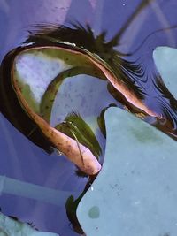 Close-up of object on the wall