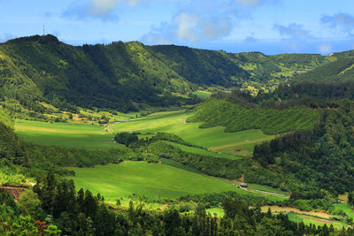 Scenic view of agricultural field against sky