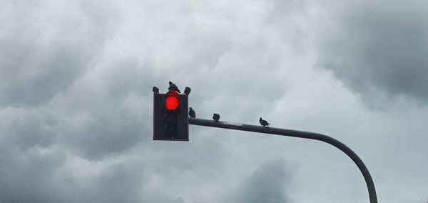 Low angle view of birds perching on traffic signal against sky