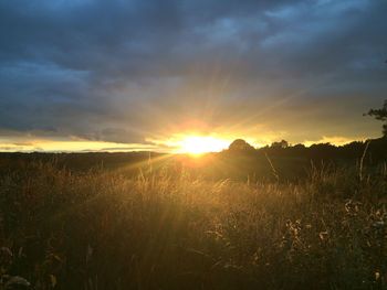 Scenic view of landscape against cloudy sky