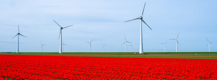 Windmills on field against sky