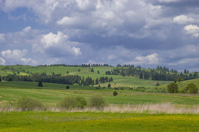 Scenic view of field against sky