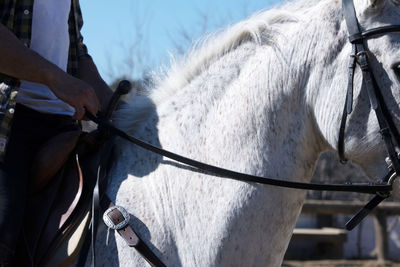 Midsection of man riding horse