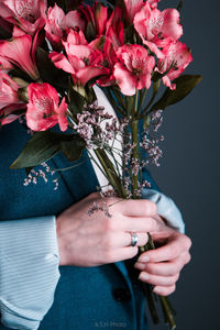 Close-up of woman hand holding flowering plant against colored background