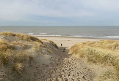 Scenic view of beach against sky