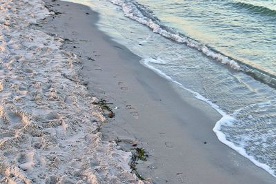 High angle view of surf on beach