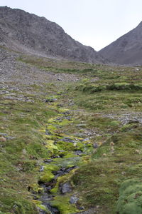Scenic view of mountains