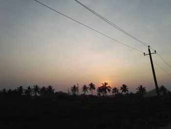 Silhouette birds flying against sky during sunset