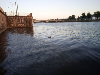 Birds flying over lake against sky