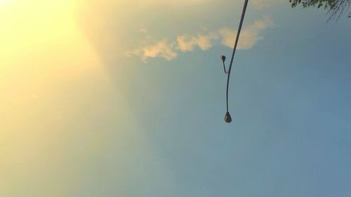 Low angle view of street light against sky