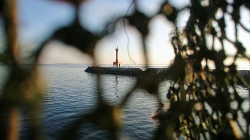 Sailboat sailing on sea against sky