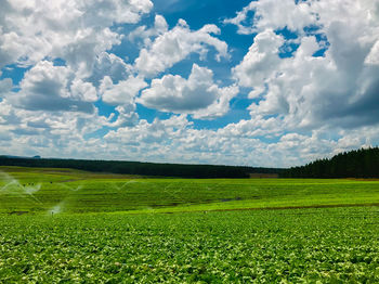 Scenic view of agricultural field against sky