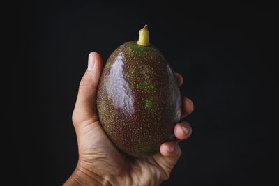 Close-up of hand holding fruit against black background