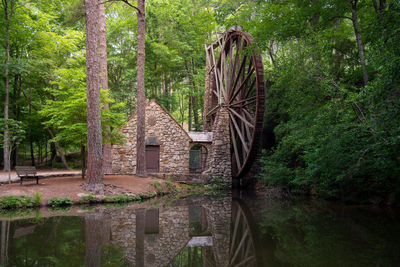 Watermill reflecting on calm pond in forest