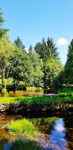 Scenic view of lake against clear sky