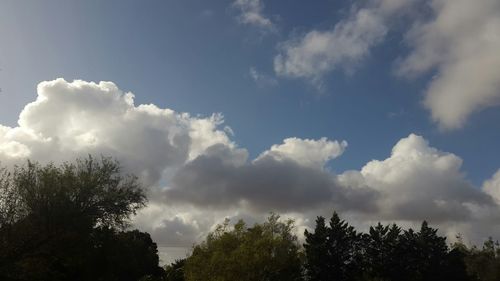 Low angle view of trees against cloudy sky