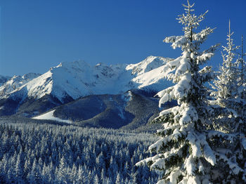 Scenic view of snowcapped mountains against blue sky