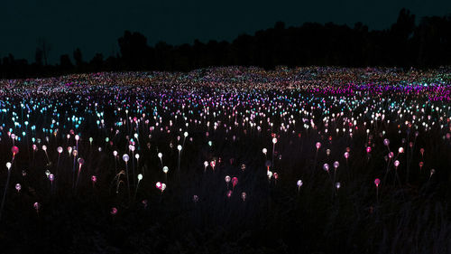 Crowd on field against sky at night