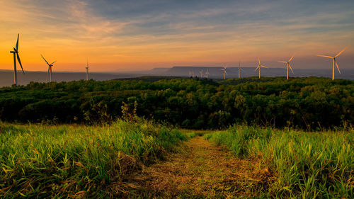 Scenic view of field against sky during sunset