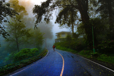 Road amidst trees against sky