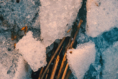 High angle view of snow on wood