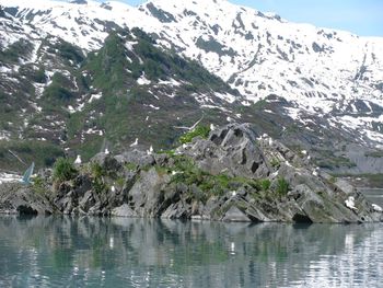 Scenic view of lake by snowcapped mountains