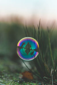 Close-up of bubbles