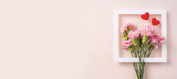 Close-up of pink roses against white wall