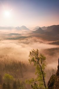 Colorful daybreak. misty awakening in a beautiful hills. peaks of hills are sticking out from fog