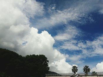 Low angle view of trees against sky