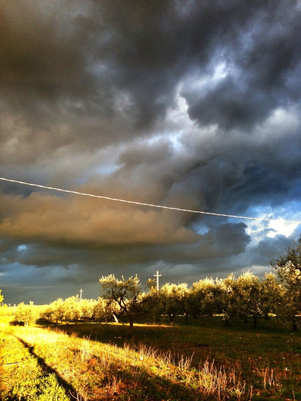 sky, cloud - sky, cloudy, weather, tranquility, tranquil scene, power line, nature, beauty in nature, overcast, scenics, electricity pylon, storm cloud, field, tree, landscape, dramatic sky, cloud, electricity, growth