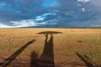 Shadow of person on field against sky