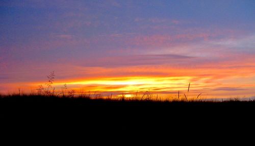 Silhouette plants on field against dramatic sky during sunset