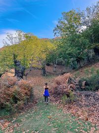 Rear view of man walking on road
