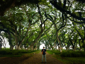 Rear view of man standing in forest
