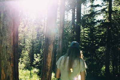 Rear view of man standing in forest