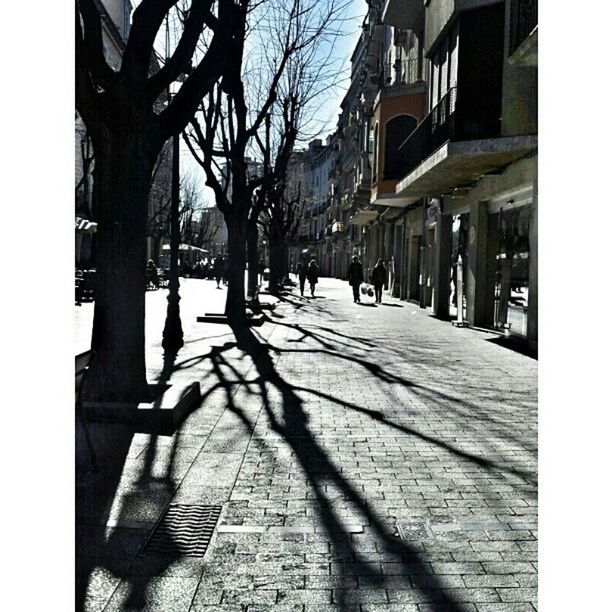 building exterior, architecture, built structure, the way forward, city, street, diminishing perspective, residential building, cobblestone, residential structure, walking, vanishing point, narrow, alley, footpath, building, bare tree, sidewalk, incidental people, shadow