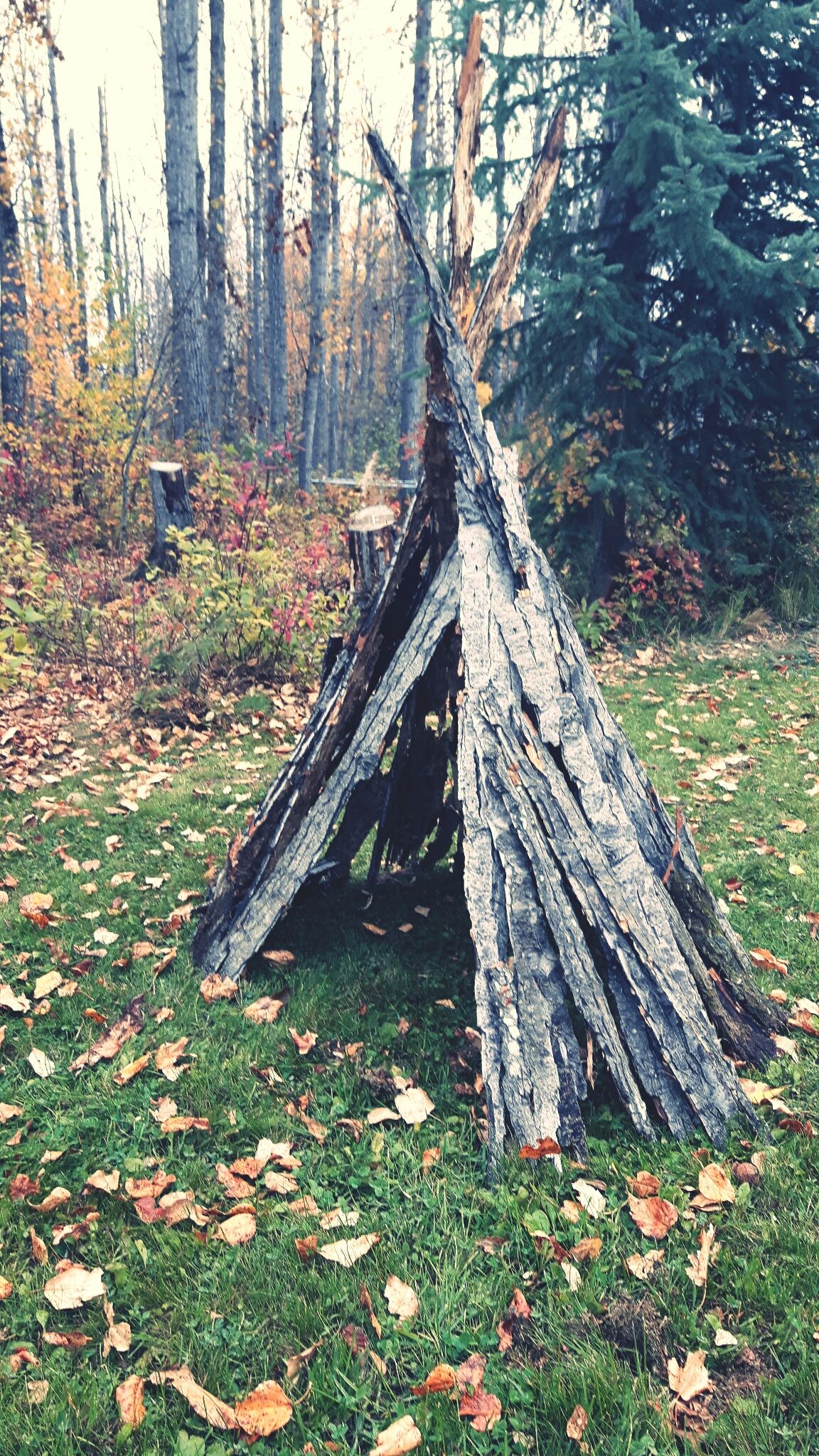 Wooden tent