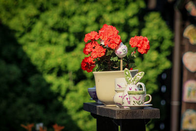 Close-up of potted plant in vase