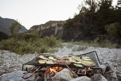 High angle view of fire on log against mountain