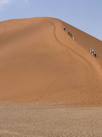 Sand dune namibia