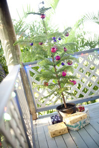 Low angle view of potted plants on table by window