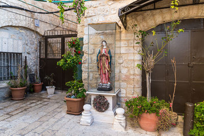 Potted plants outside building