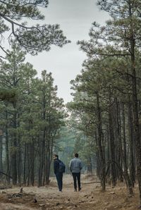 Rear view of people walking in forest