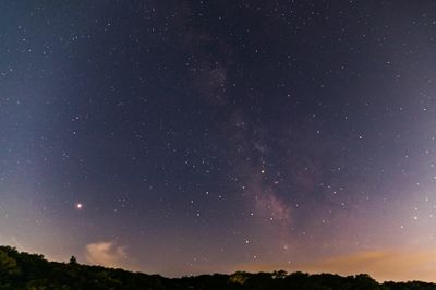 Low angle view of silhouette trees against star field at night