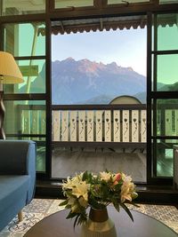 Potted plant on table by window against building