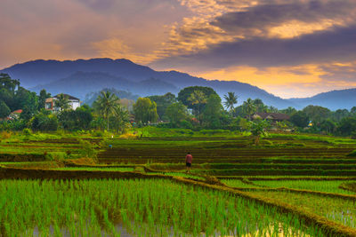 landscape